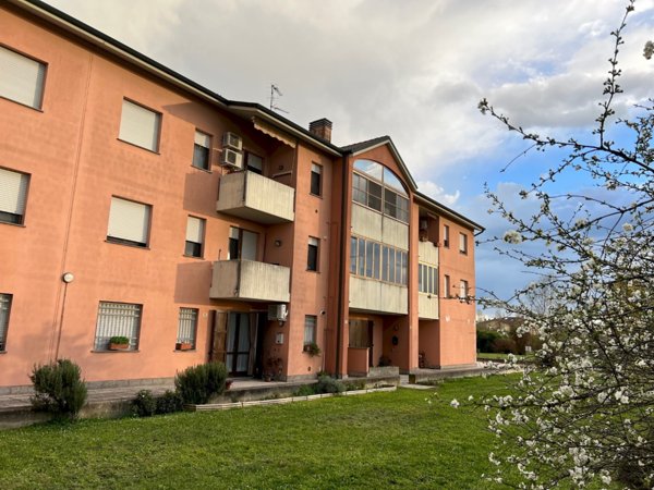 appartamento in affitto a Molinella