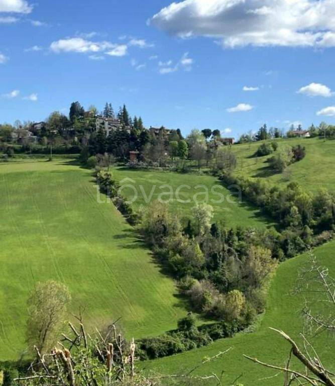 appartamento in affitto a Monte San Pietro