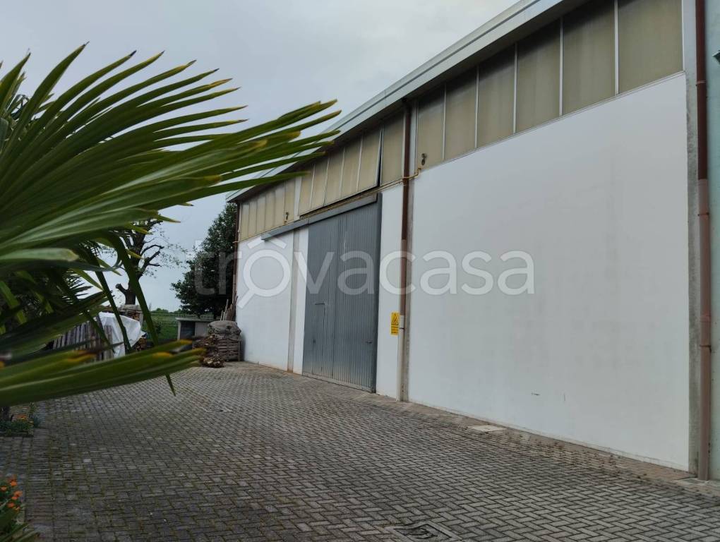locale commerciale in affitto a Mordano