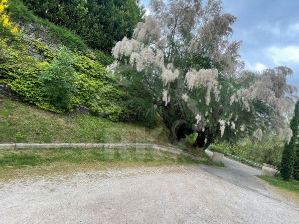 appartamento in affitto a Pianoro