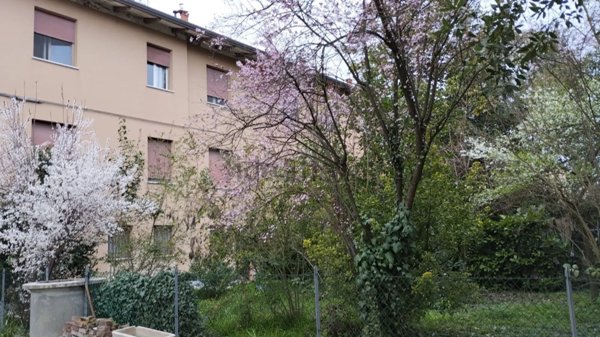 appartamento in affitto a Pieve di Cento