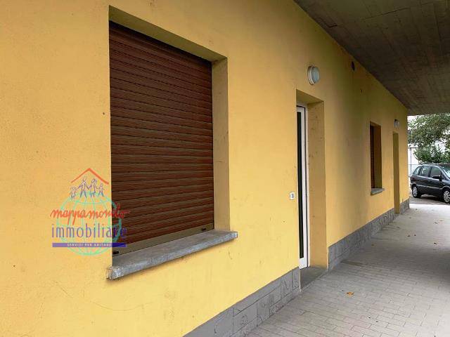 immagine annuncio 0 di 6