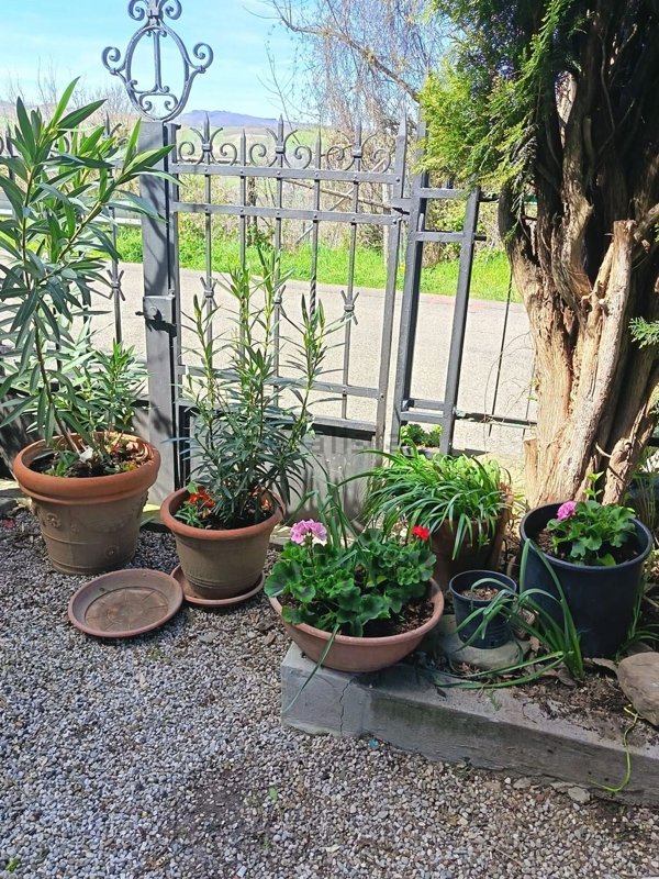 appartamento in affitto a San Benedetto Val di Sambro in zona Piano del Voglio