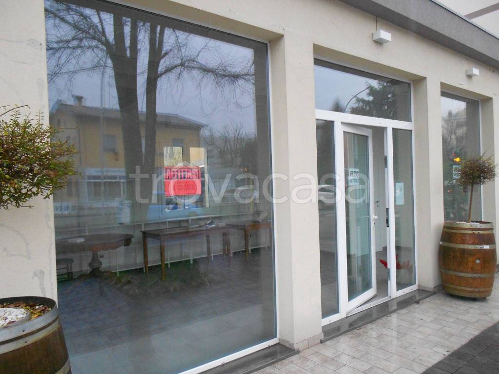 appartamento in affitto a San Giovanni in Persiceto