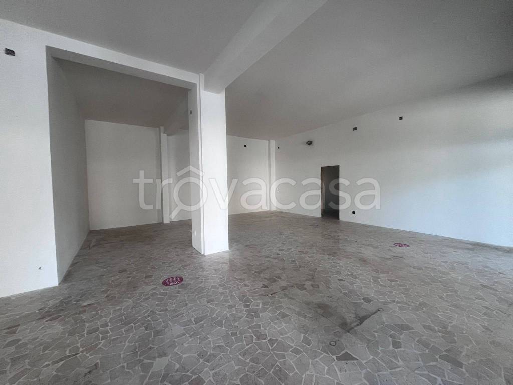 appartamento in affitto a San Giovanni in Persiceto