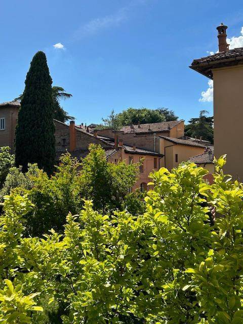 appartamento in affitto a San Giovanni in Persiceto