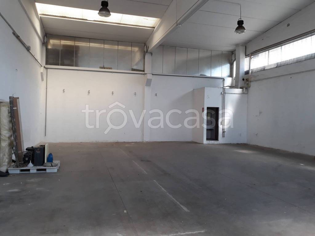 appartamento in affitto a San Giovanni in Persiceto in zona Decima