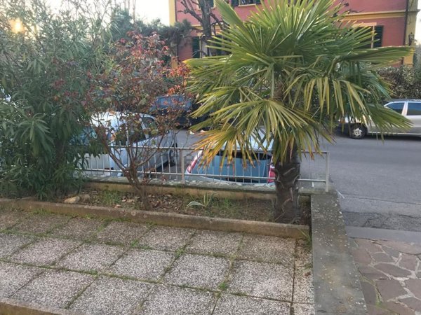 appartamento in affitto a San Lazzaro di Savena
