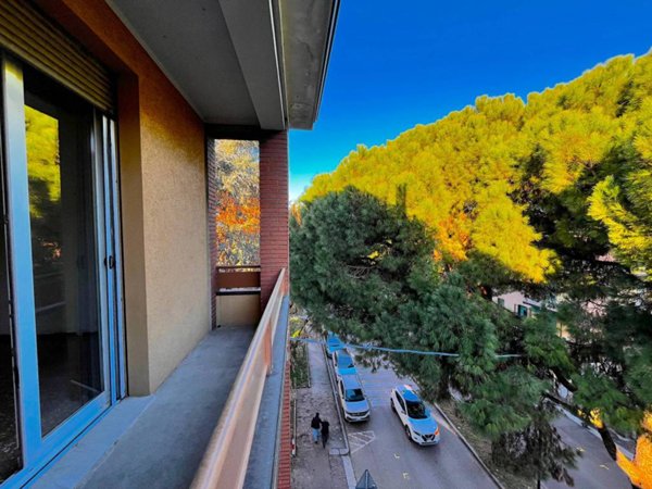 appartamento in affitto a San Lazzaro di Savena