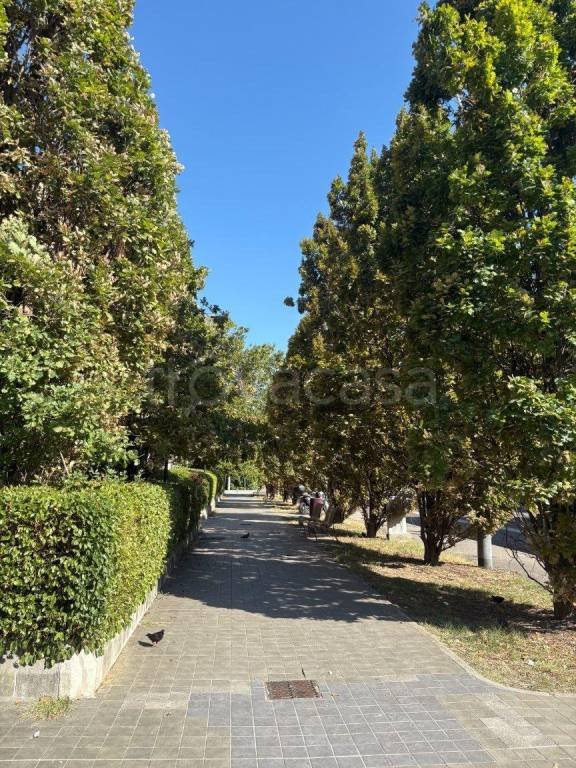 negozio in affitto a San Lazzaro di Savena