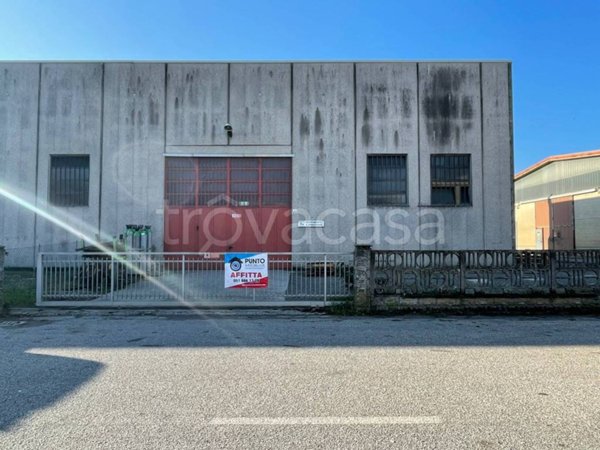 casa indipendente in affitto a San Pietro in Casale