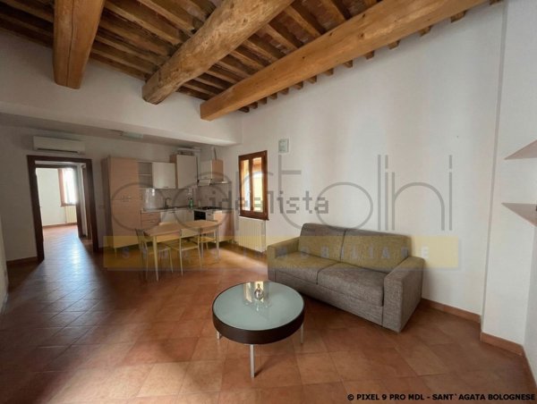 appartamento in affitto a Sant'Agata Bolognese