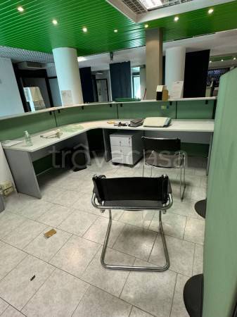 appartamento in affitto a Zola Predosa