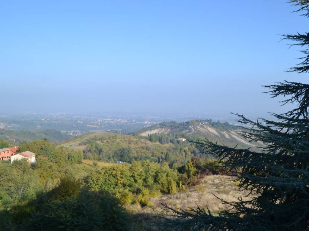appartamento in affitto a Zola Predosa