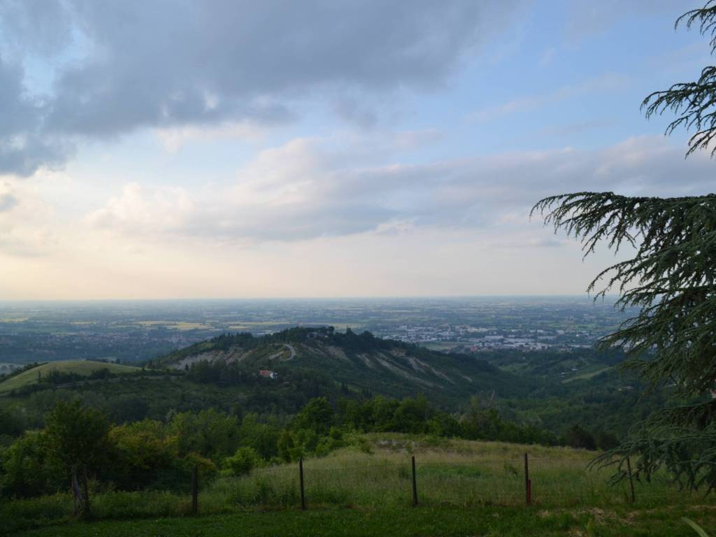 appartamento in affitto a Zola Predosa
