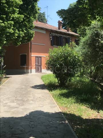 appartamento in affitto a Zola Predosa