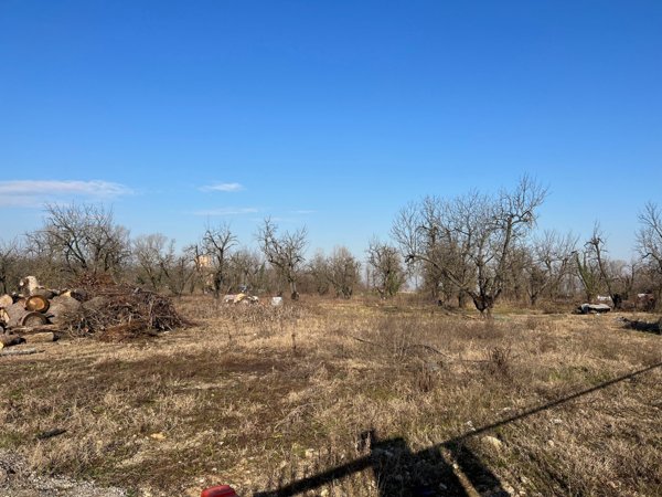 casa indipendente in affitto a Zola Predosa in zona Lavino