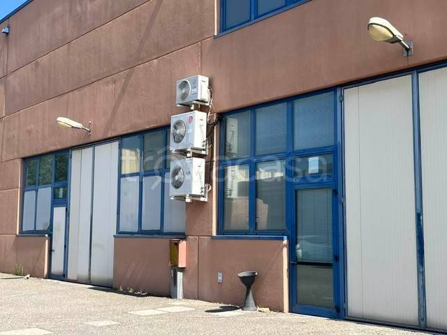 appartamento in affitto a Zola Predosa in zona Riale