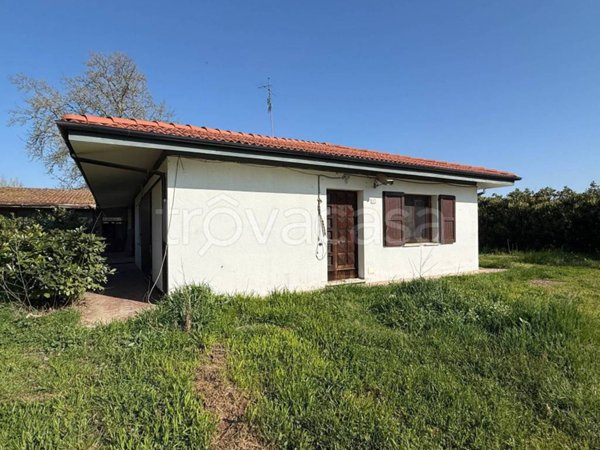 casa indipendente in affitto ad Argenta