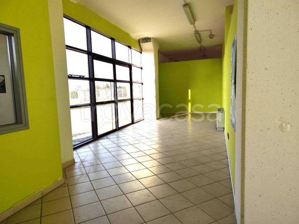 negozio in affitto a Cento in zona Renazzo