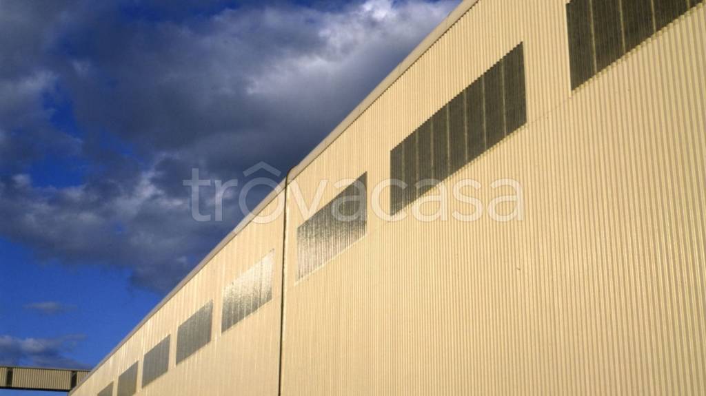 appartamento in affitto a Cento