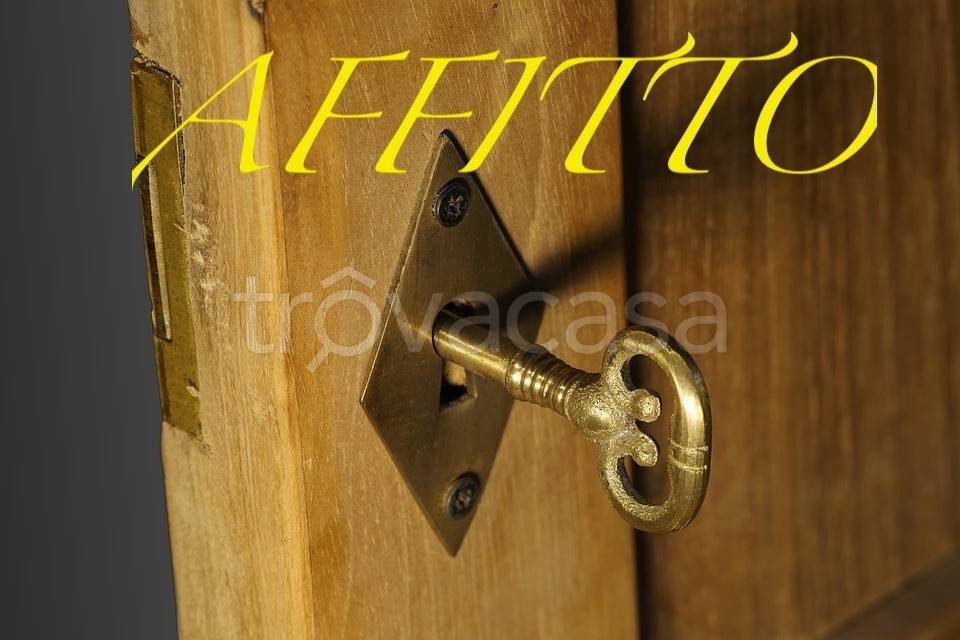 appartamento in affitto a Cento