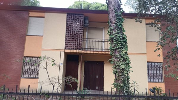 appartamento in affitto a Comacchio in zona Lido degli Estensi