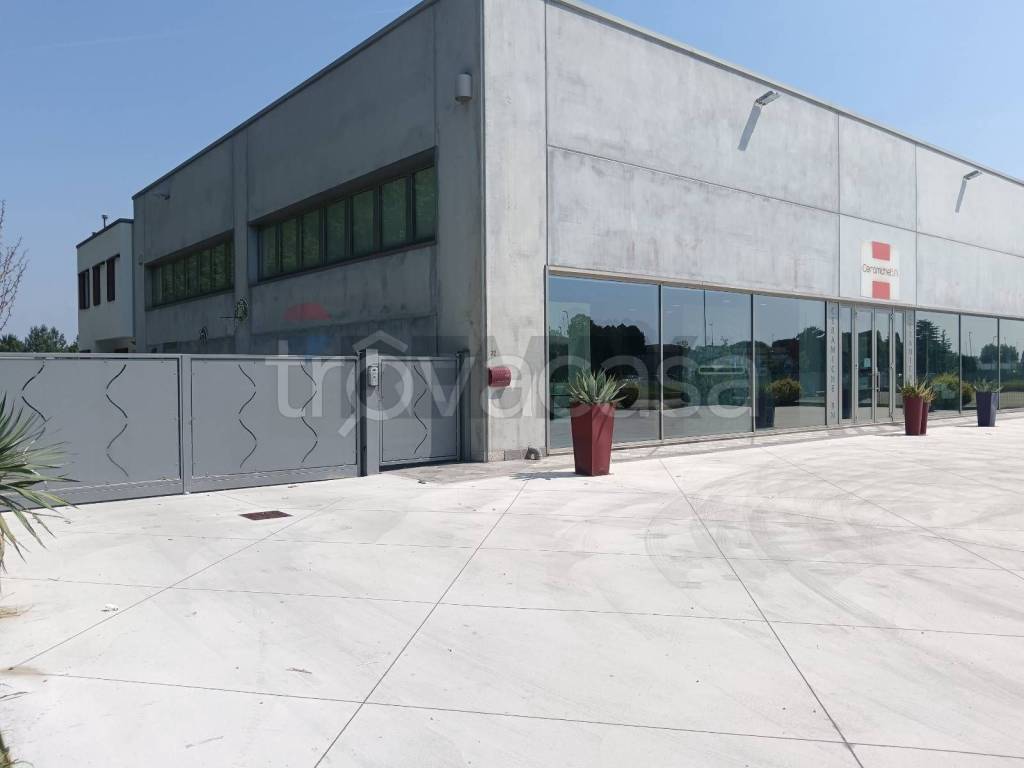 negozio in affitto a Copparo