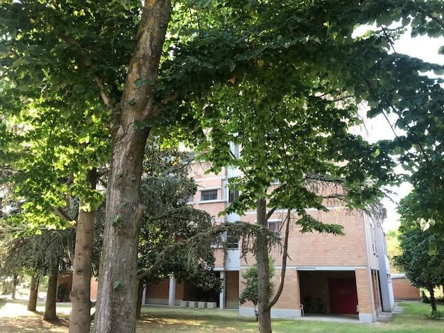 appartamento in affitto a Ferrara