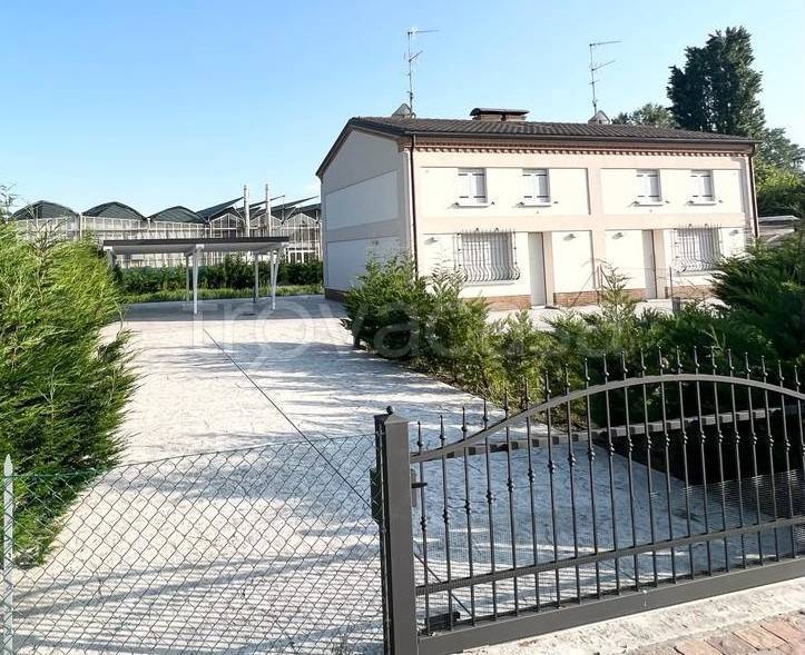casa indipendente in affitto a Ferrara