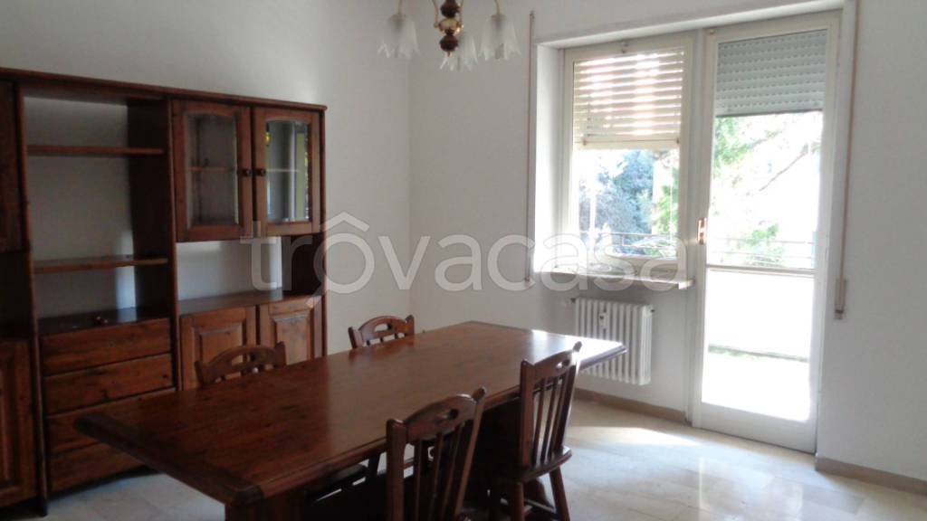 appartamento in affitto a Ferrara