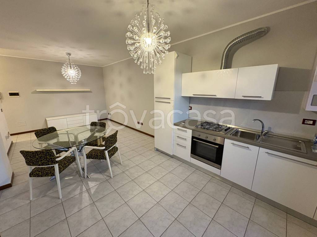 appartamento in affitto a Ferrara