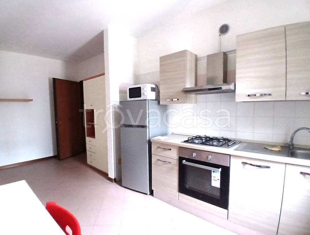 appartamento in affitto a Ferrara