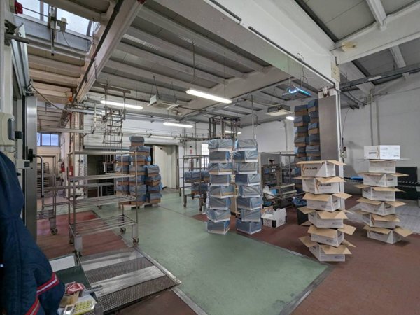 locale commerciale in affitto a Ferrara in zona Chiesuol del Fosso