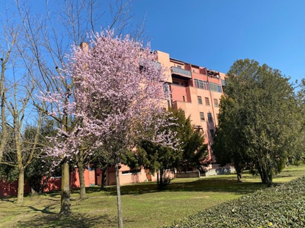 camera singola in affitto a Ferrara
