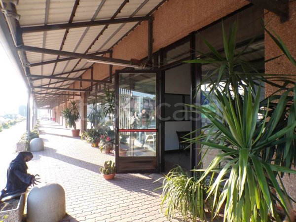 negozio in affitto a Fiscaglia in zona Migliarino