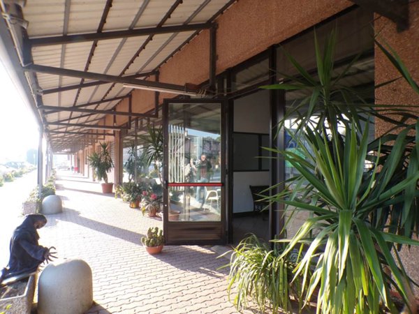 negozio in affitto a Fiscaglia in zona Migliarino