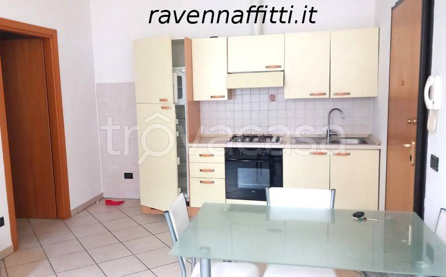 appartamento in affitto a Bagnacavallo