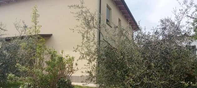 appartamento in affitto a Castel Bolognese