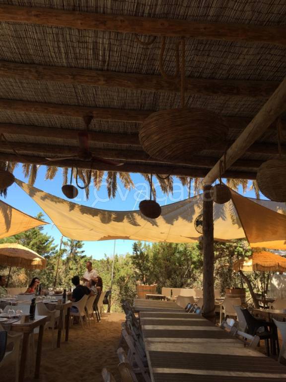 appartamento in affitto a Cervia in zona Milano Marittima
