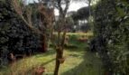 casa indipendente in affitto a Cervia in zona Milano Marittima