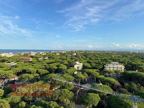 appartamento in affitto a Cervia in zona Milano Marittima