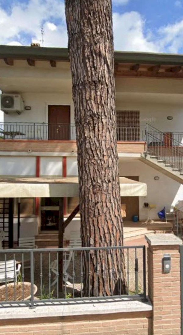 appartamento in affitto a Cervia
