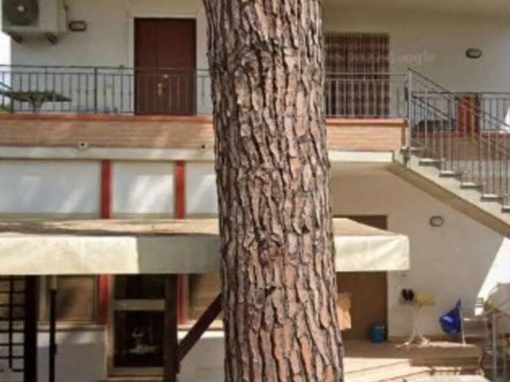 appartamento in affitto a Cervia