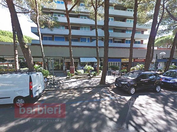 appartamento in affitto a Cervia in zona Milano Marittima