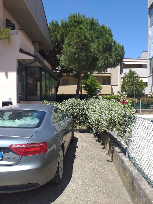 casa indipendente in affitto a Cervia