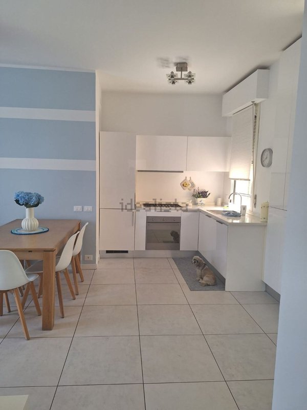 immagine annuncio 0 di 1