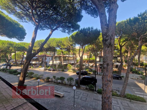 appartamento in affitto a Cervia in zona Milano Marittima