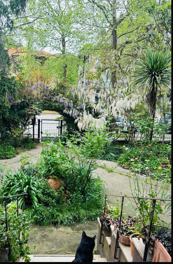 appartamento in affitto a Cervia