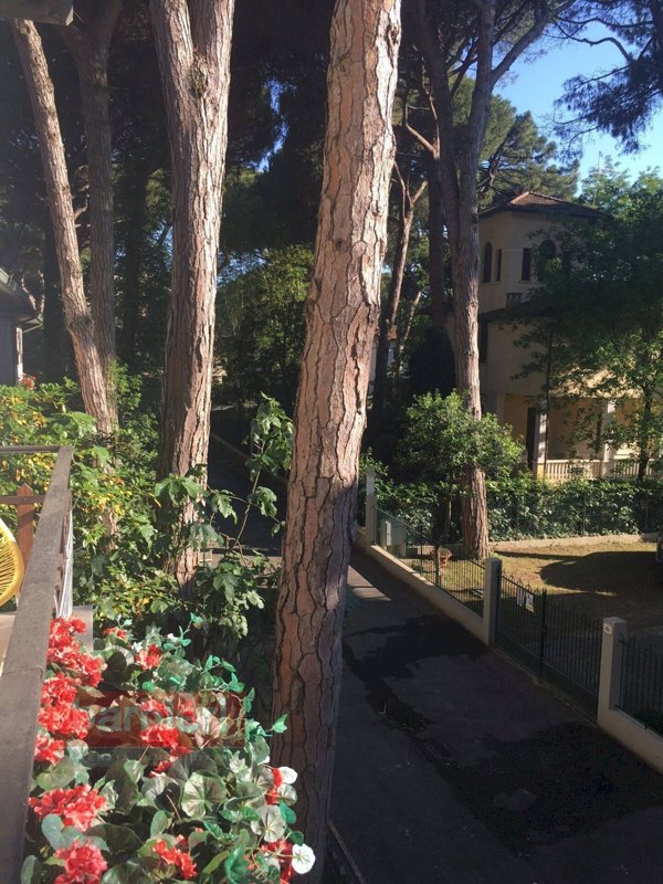 appartamento in affitto a Cervia in zona Milano Marittima